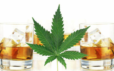 CBD & Alcohol: Do They Mix?