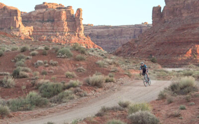 How Exercise Powers the Body at a Cellular Level