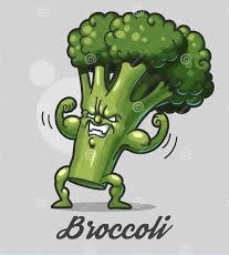 How Broccoli Seed Extract Benefits Athletes and Longevity