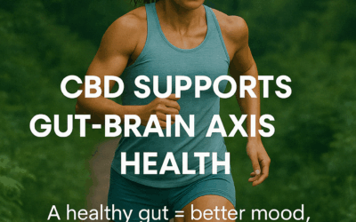 CBD & The Gut-Brain Connection: The Ultimate Stack for Gut Health, Recovery & Performance