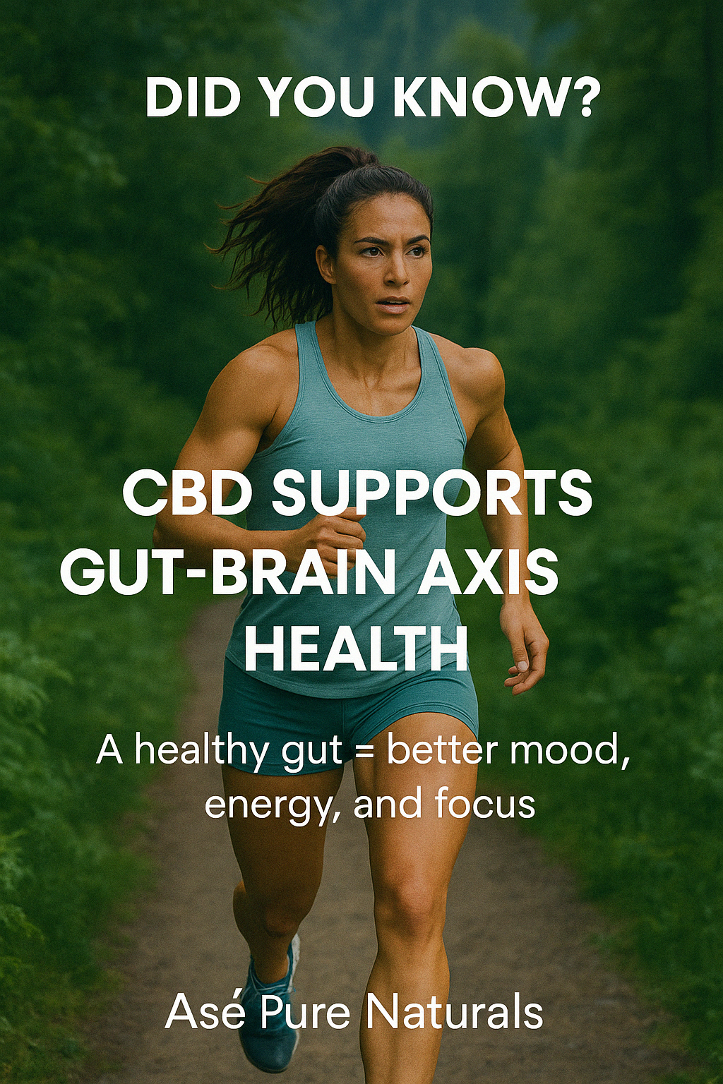 CBD & Gut Health