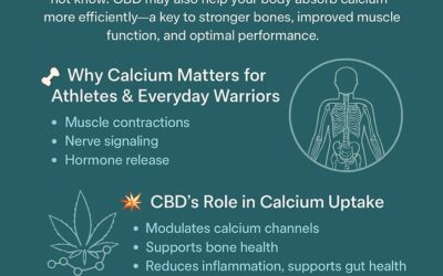 How CBD Supercharges Calcium Absorption for Peak Performance