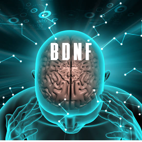 CBD and BDNF