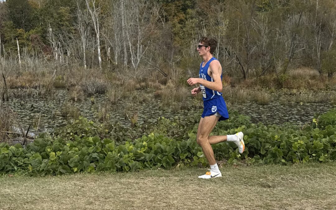 Sunlight: Your Brain, Body, and Mood