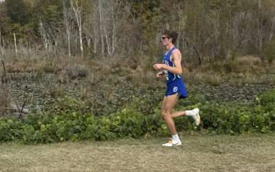 Sunlight: Your Brain, Body, and Mood