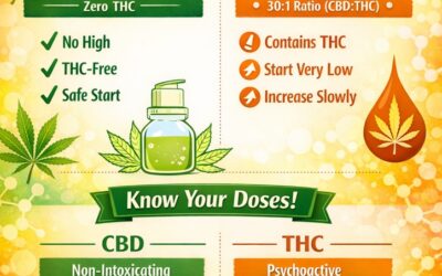 CBD Dosing 101 for Beginners