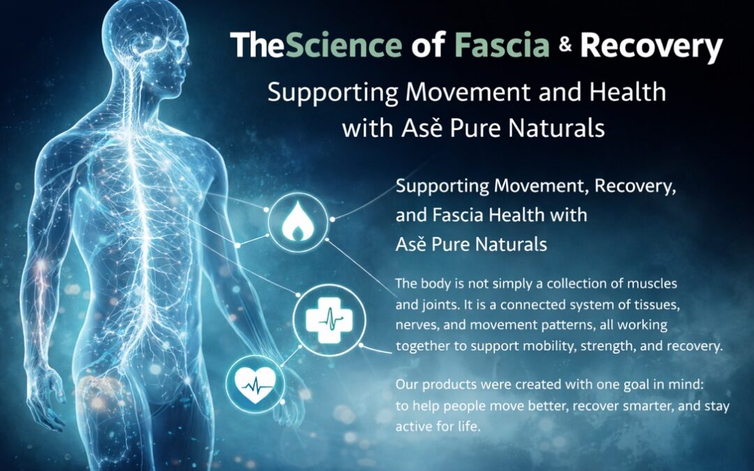 The Science of Fascia: The Hidden Network That Controls Pain, Movement, and Recovery